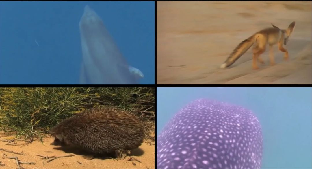 90BB82C993087EA2D7D6B62BA98_A80F6793_FFA8.jpeg?e= J9.COM¡¤(Öйú¼¯ÍÅ)¹Ù·½ÍøÕ¾