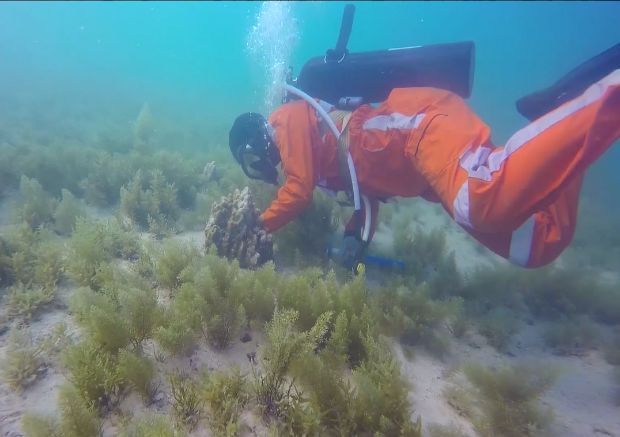 J9.COM��(�й�����)�ٷ���վ