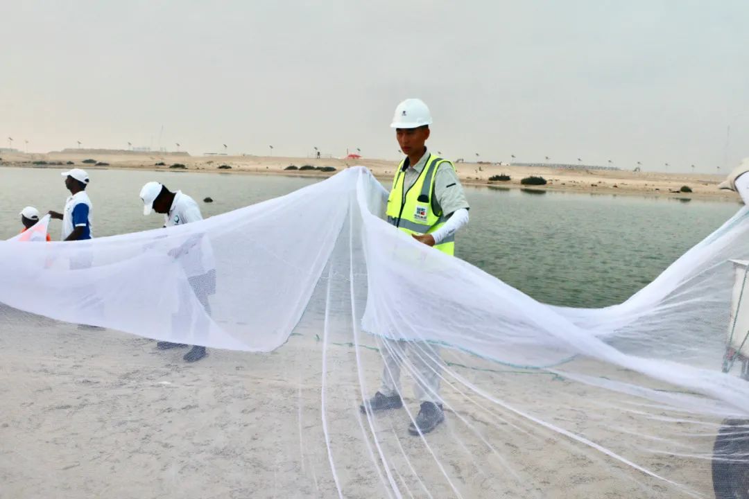 J9.COM��(�й�����)�ٷ���վ