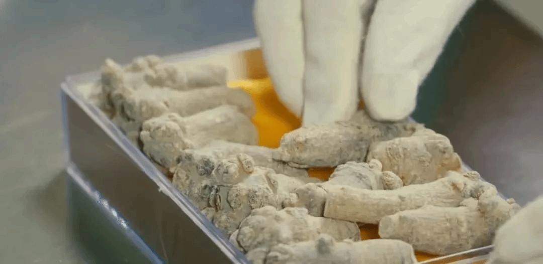 J9.COM��(�й�����)�ٷ���վ