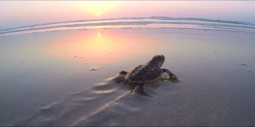 J9.COM��(�й�����)�ٷ���վ