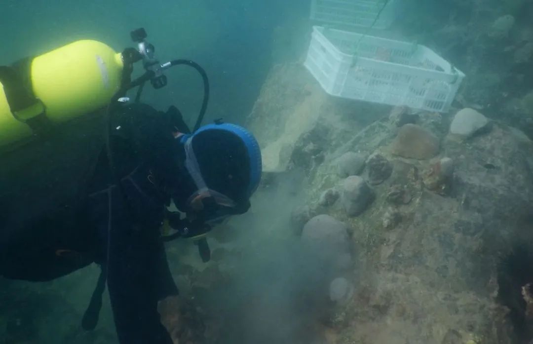 J9.COM��(�й�����)�ٷ���վ