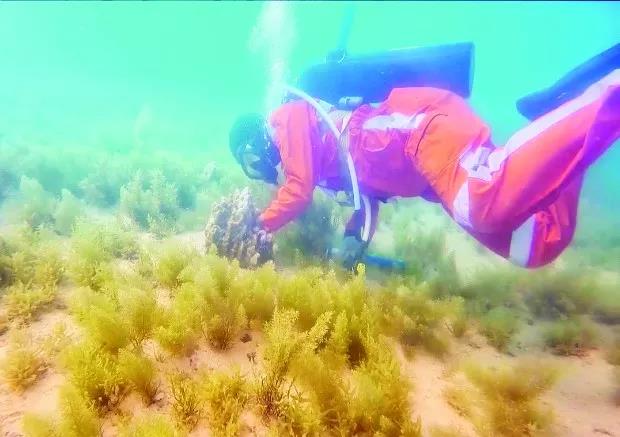 J9.COM��(�й�����)�ٷ���վ