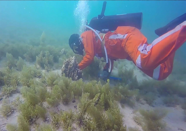 J9.COM��(�й�����)�ٷ���վ