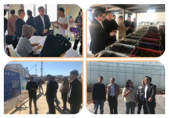 J9.COM��(�й�����)�ٷ���վ