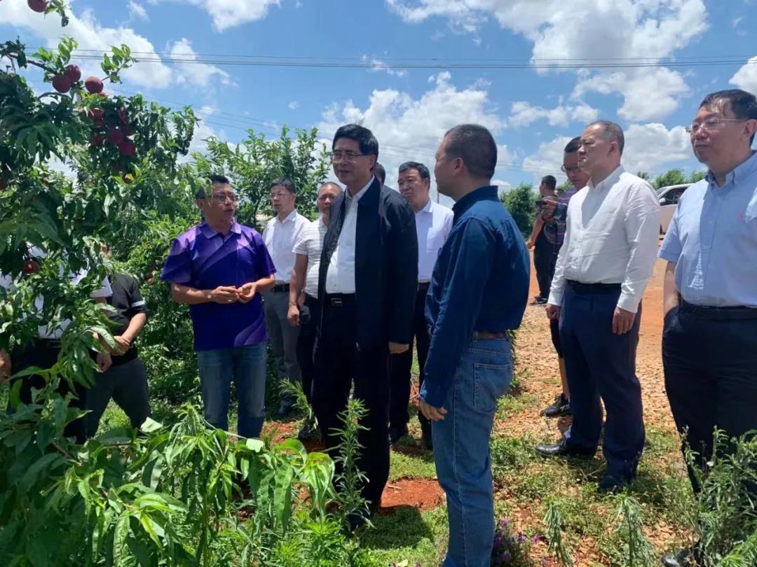 J9.COM��(�й�����)�ٷ���վ