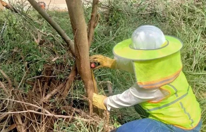 J9.COM��(�й�����)�ٷ���վ