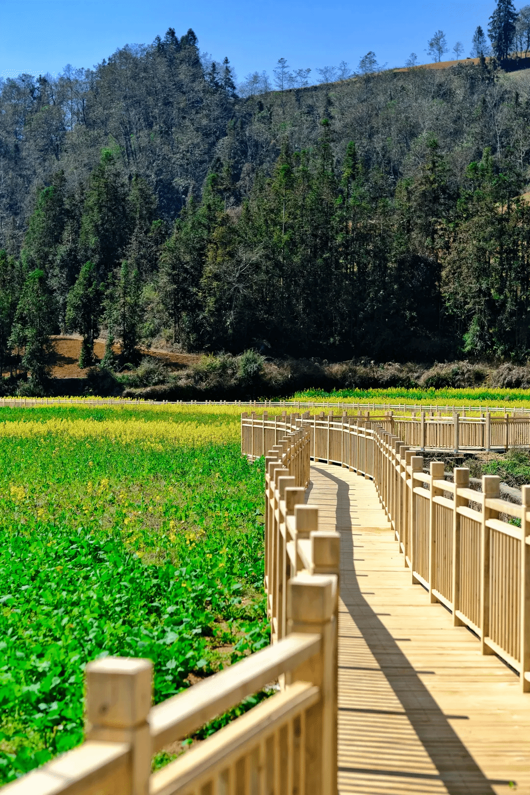 J9.COM��(�й�����)�ٷ���վ