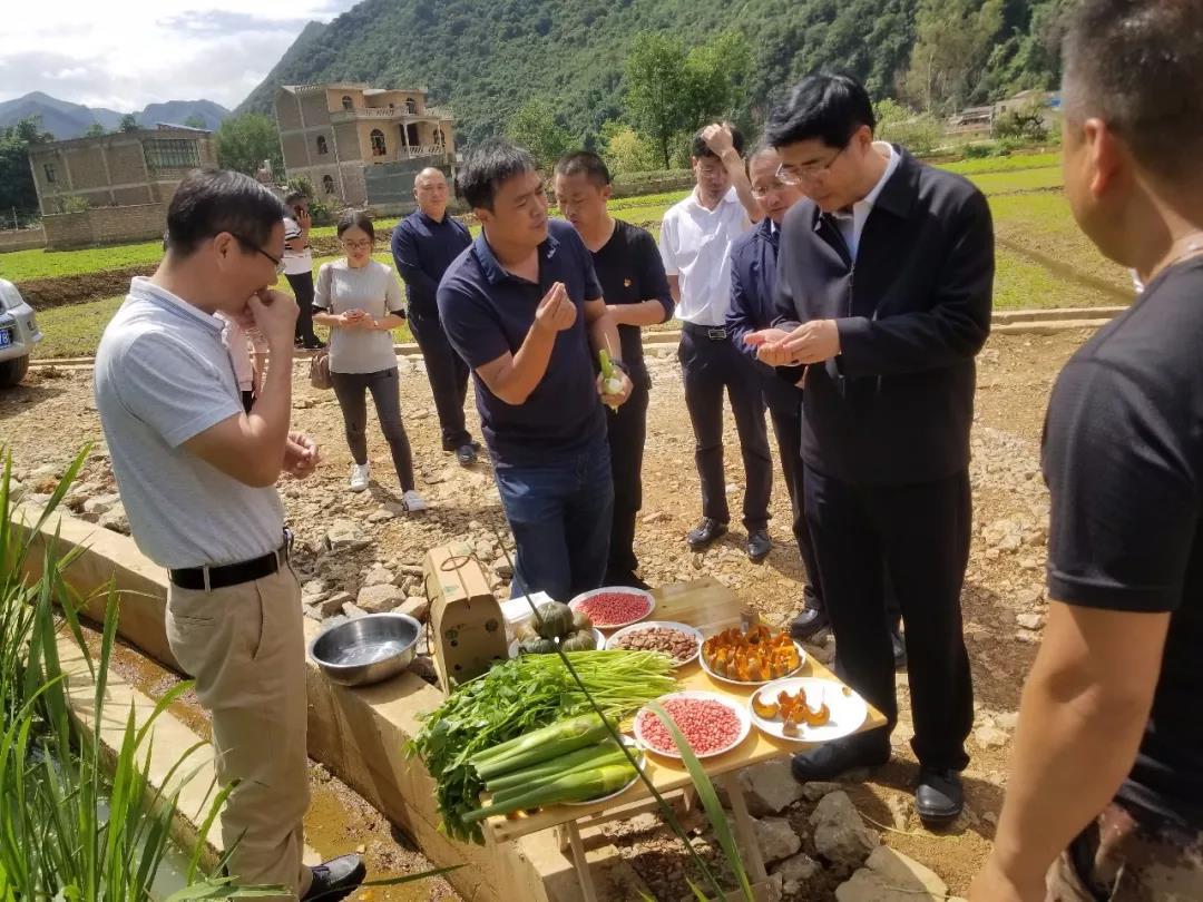 J9.COM��(�й�����)�ٷ���վ