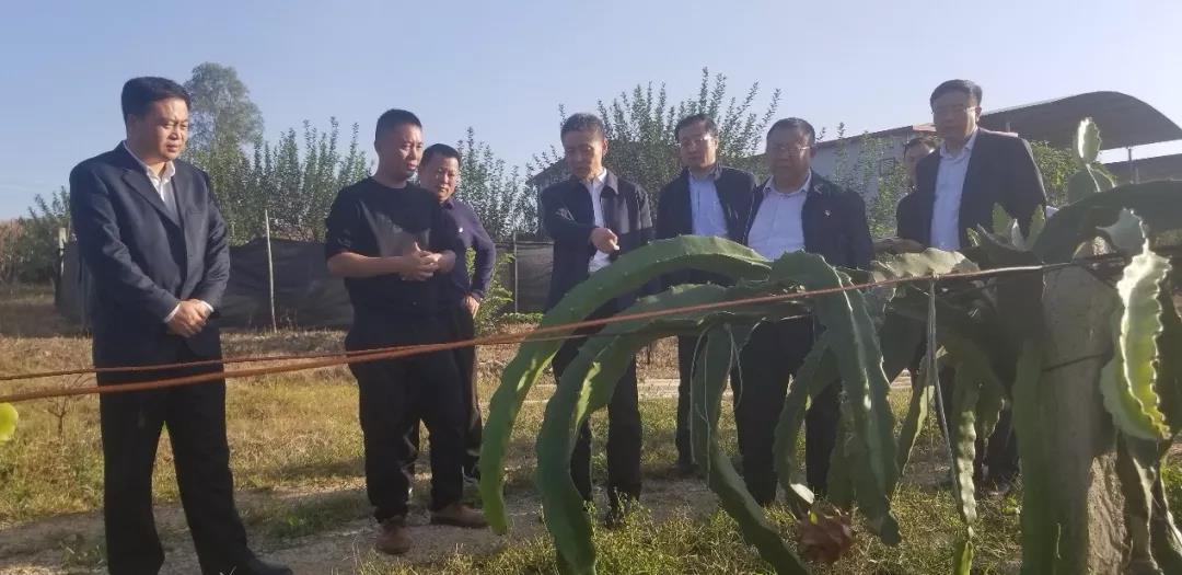 J9.COM��(�й�����)�ٷ���վ