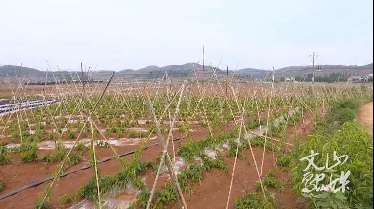 J9.COM��(�й�����)�ٷ���վ