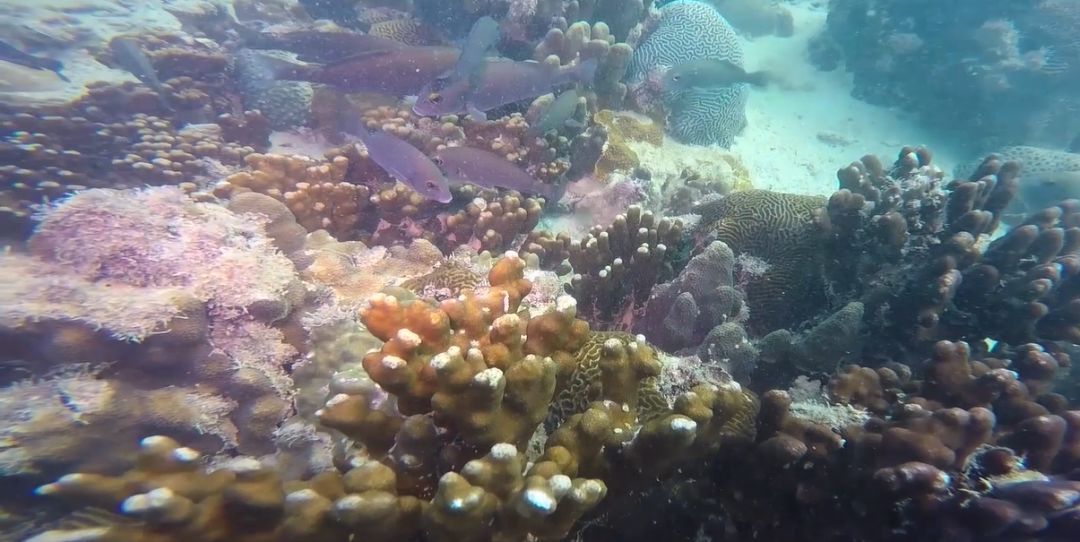 5516E126F7C7904BEE743B4A9F9_46778B64_192A5.jpeg?e= J9.COM¡¤(Öйú¼¯ÍÅ)¹Ù·½ÍøÕ¾