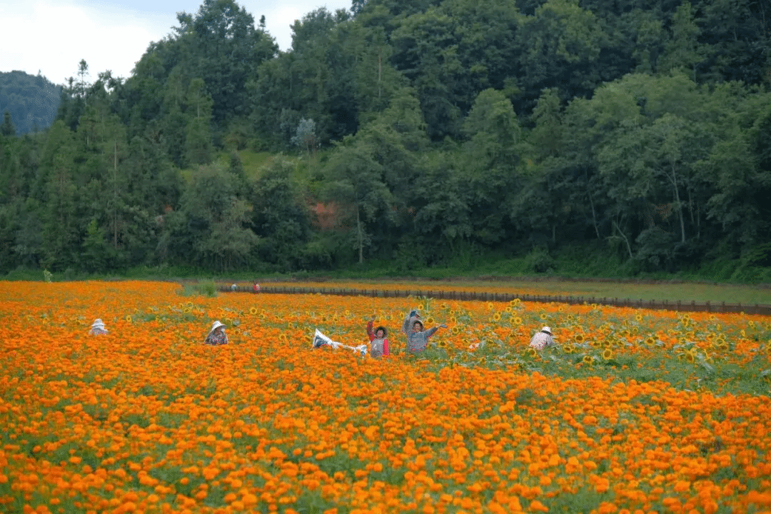 J9.COM��(�й�����)�ٷ���վ