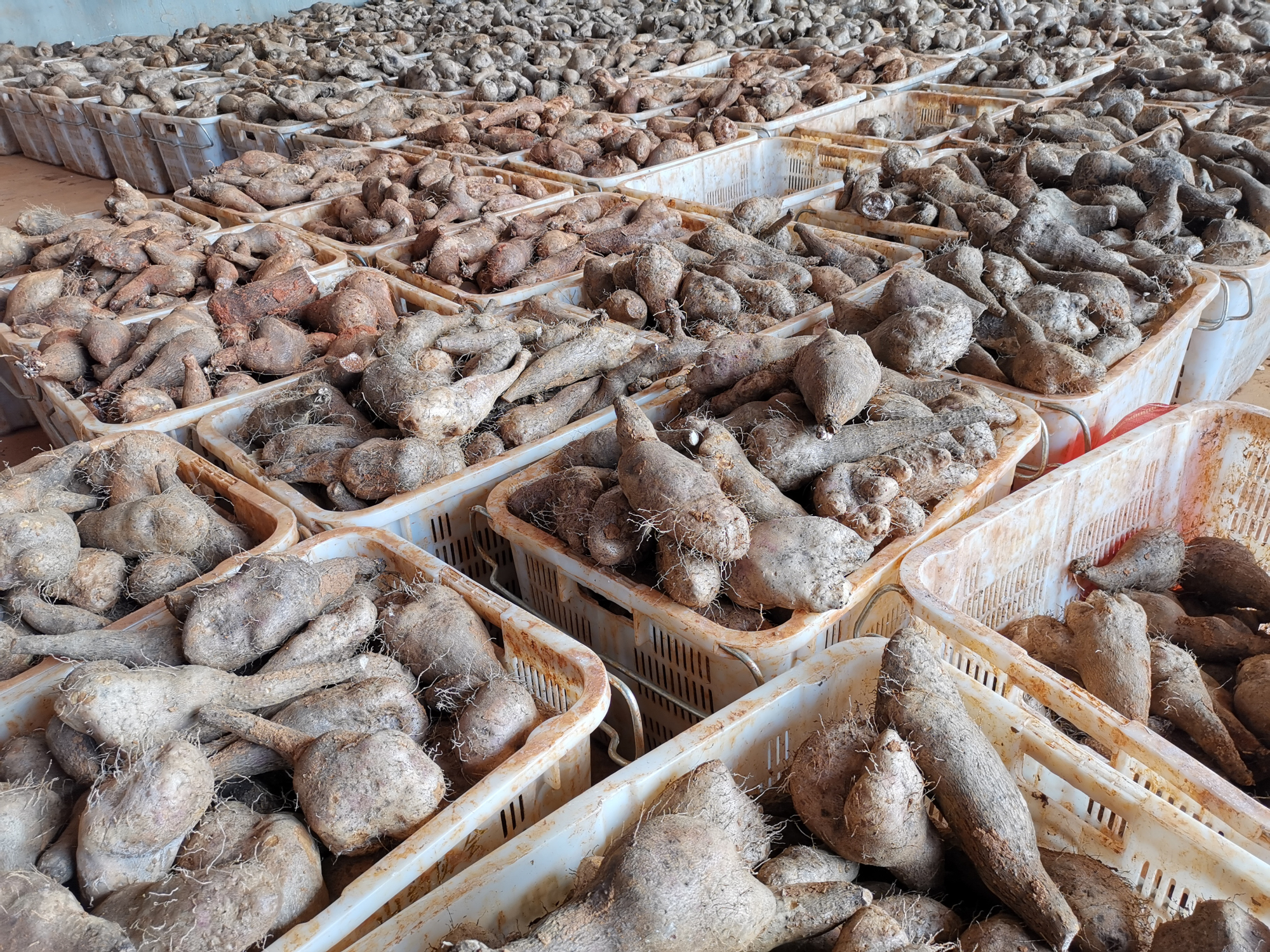 DC5DC504911D0CE7978B855883B_525F994F_2FB6A6.jpg?e= J9.COM·(中国集团)官方网站