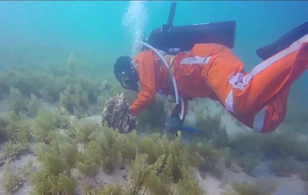 J9.COM��(�й�����)�ٷ���վ